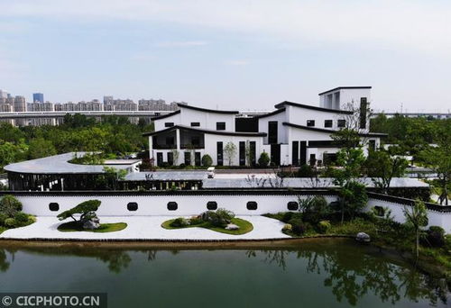 净水厂变身水美公园，杭州惊现江南水墨画卷