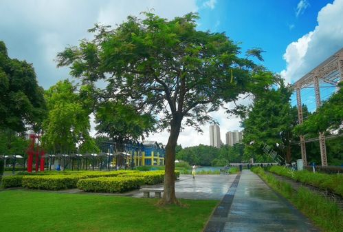 广东中山 一座由旧厂房蝶变的获奖公园，如何用创意点亮城市记忆？